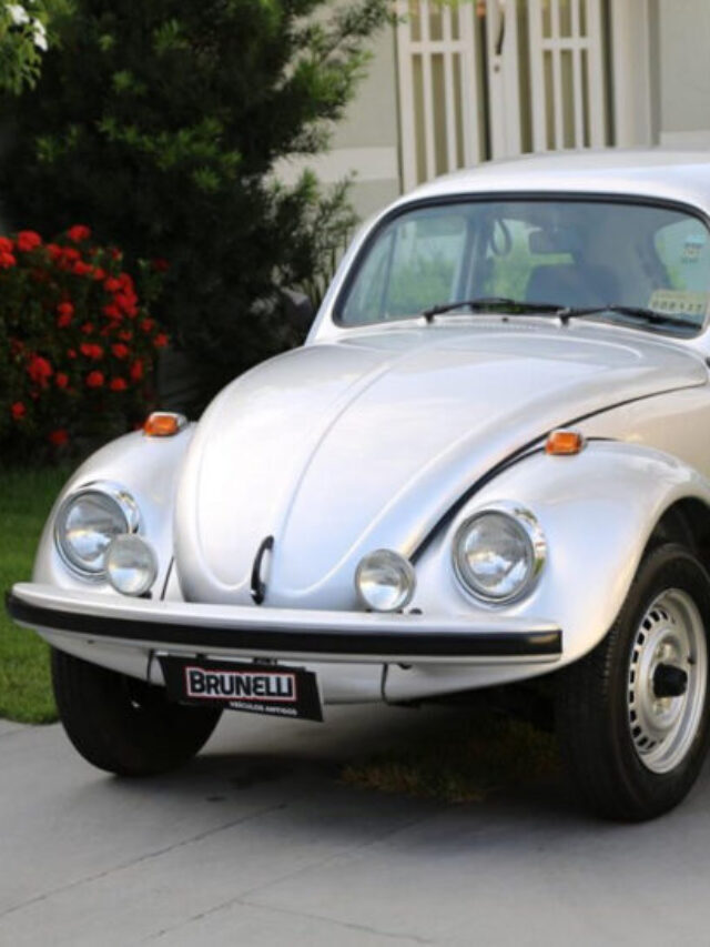 Volkswagen Escarabajo 0km: Itamar 1993